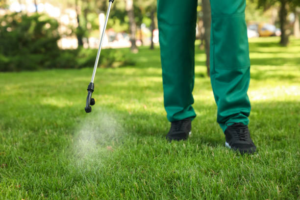 Best Residential Pest Control  in Palatine, IL